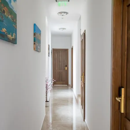 Ancora Faros