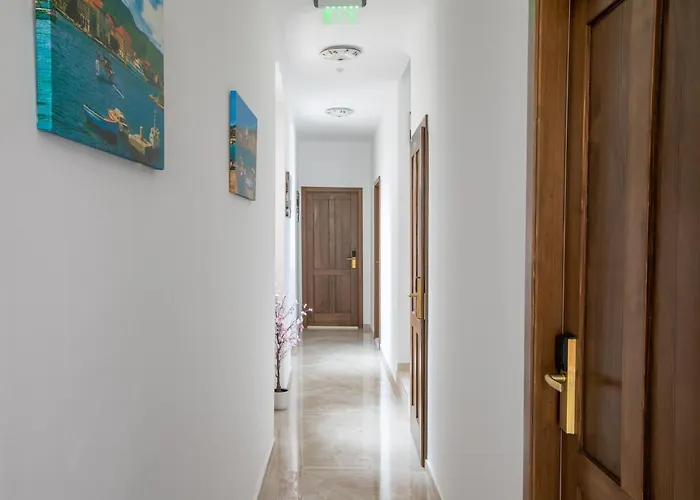 Ancora Faros